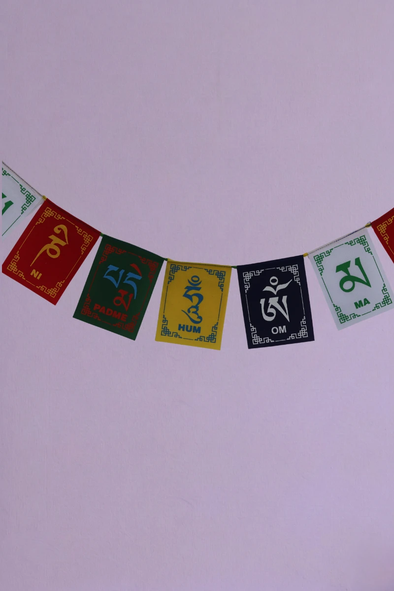 Close up shot of tibetan prayer flags for cars