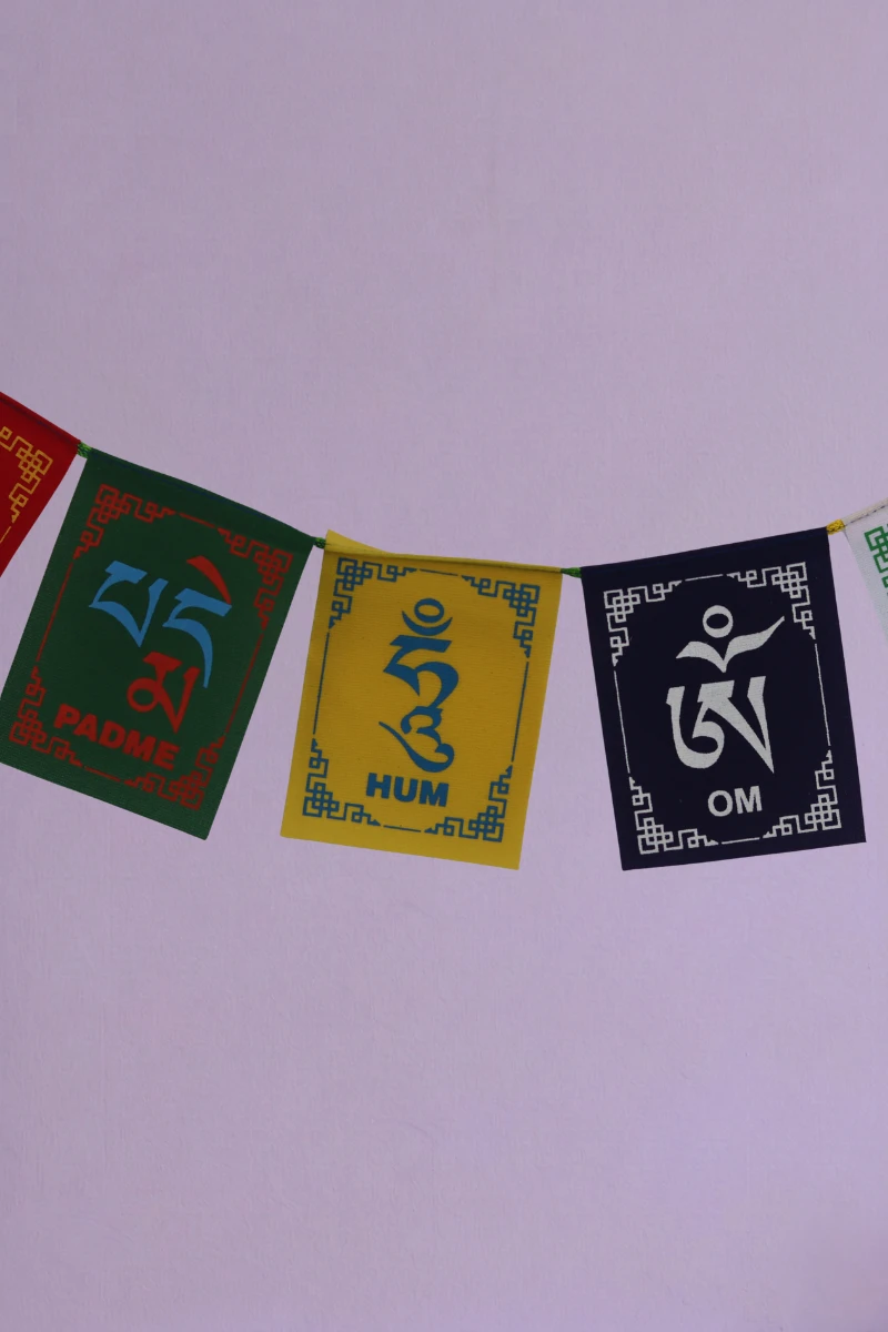 Close up view of tibetan prayer flags for cars
