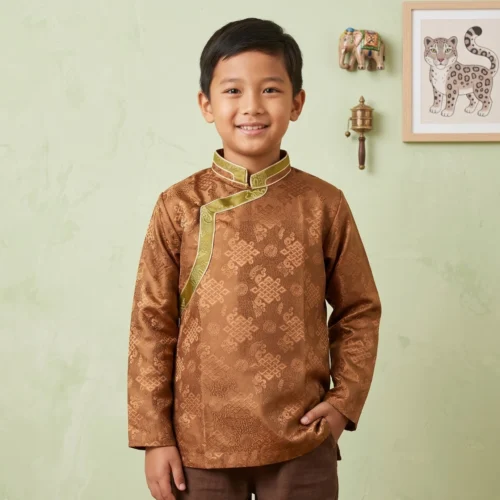 Boy wearing Brown Kids Khenja jacquard top with green Tash Kuchin border full body front view